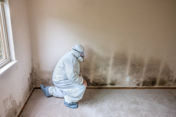 Best Air Quality Testing for Mold Spores  in Start, LA